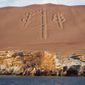 Full Day Islas Ballestas y Reserva nacional desde Ica